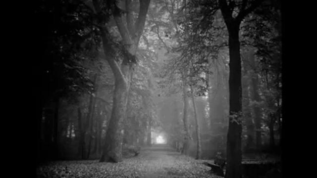 Искам тази нощ нещо да ти кажа