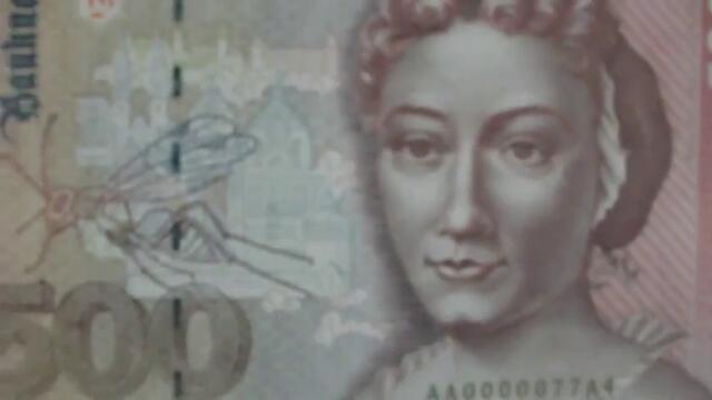 Мария Сибила Мериан на банкнотата от 500 германски марки