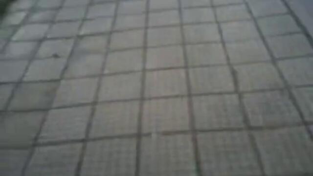 Полицията в България!Вижте наглостта и  простащината!!!