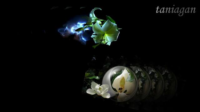 Lane Moje - Zeljko Joksimovic (превод)