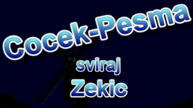 NOVO, Bojan Zekic-Cocek Pesma-Sviraj boki_Basal boki 2013,-2014