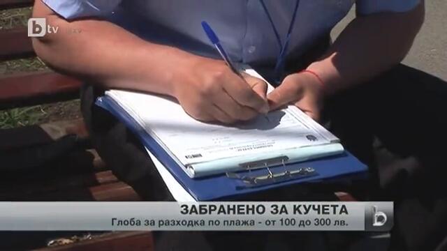 Забранява се разходката на кучета по плажа