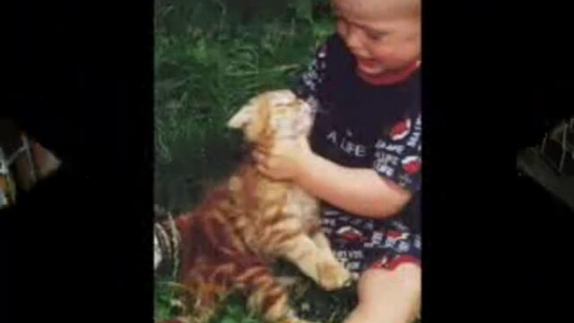 Гледайте, ако поне малко ви е жал за бездомните Котенца !