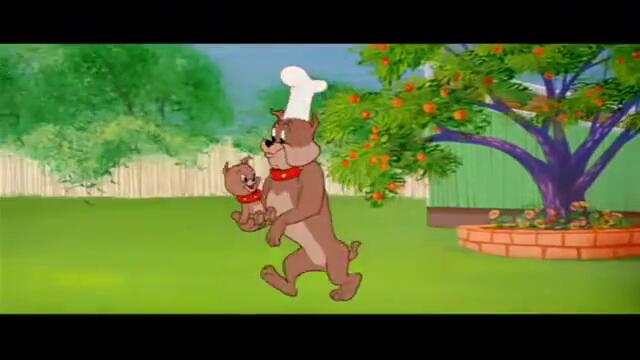 Tom and Jerry - Barbecue Brawl
