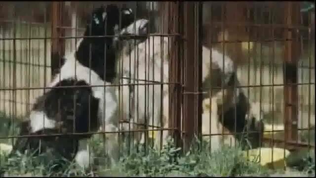 А после - 2 част (ya Sonra 2011 Bg Subs)