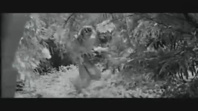 Развод по Италиански - с Марчело Мастрояни