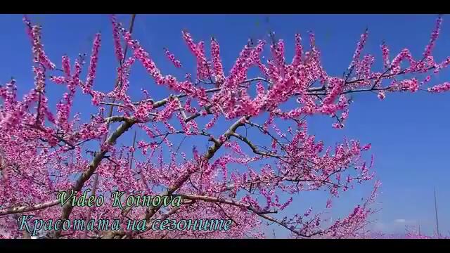 Красотата на сезоните