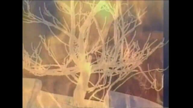 TRANSMETAL  El Infierno de Dante (Videoclip)