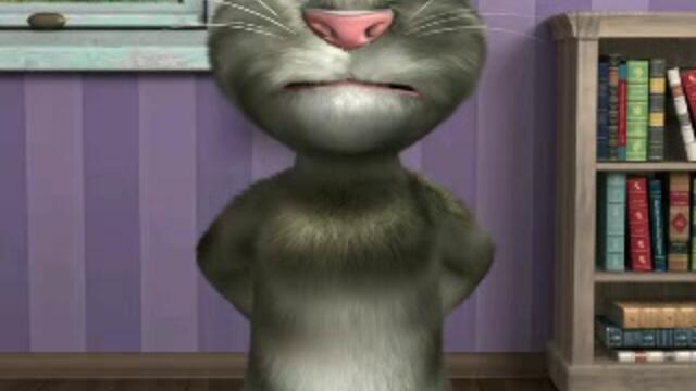 TalkingTom2(38)