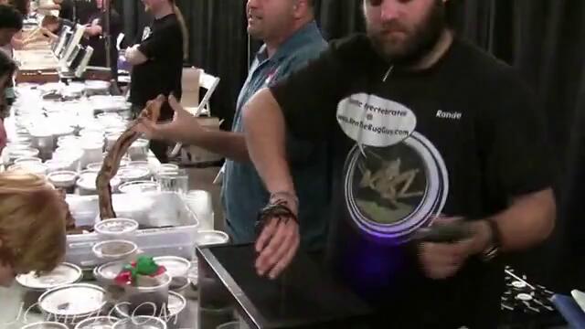 Скорпиони :)