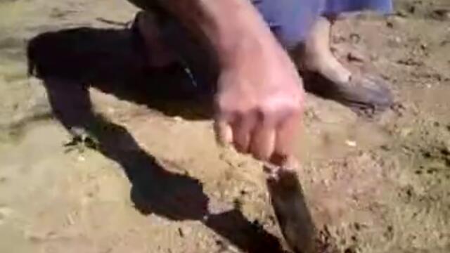 Къртица копае като булдозер