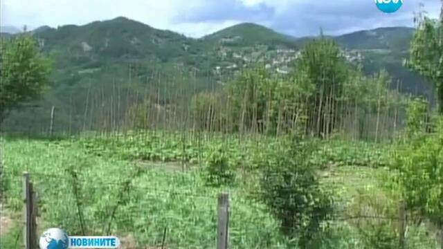 Да избягаш от шума на големия град