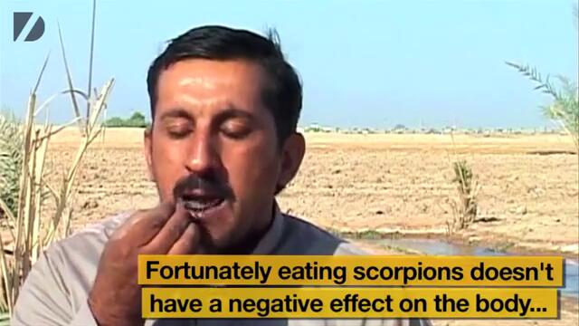Човек яде живи скорпиони