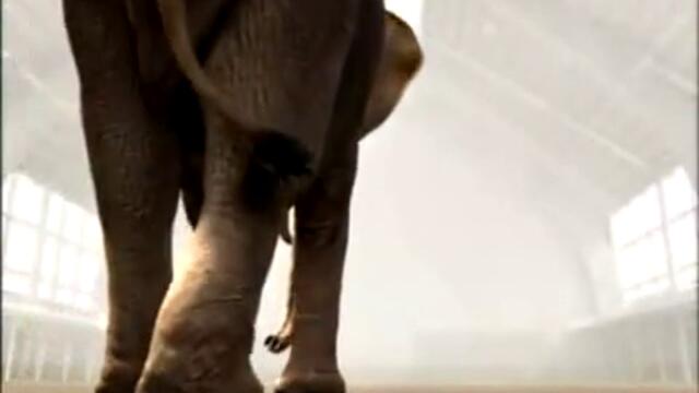 Не е за изпускане скачащ слон