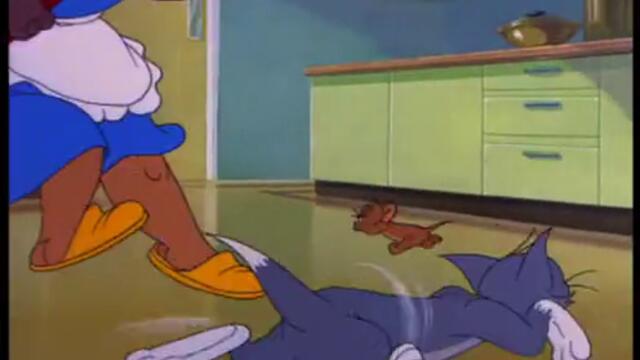 Tom And Jerry - 061 - Nit Witty Kitty (1951)