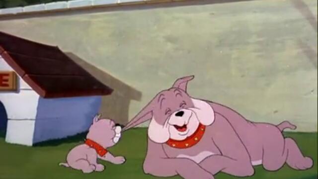 Tom And Jerry - 076 - That's My Pup (1953)