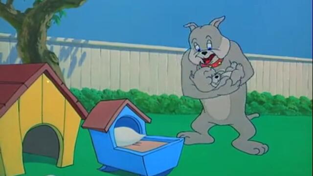 Tom And Jerry - 082 - Hic Cup Pup (1954)