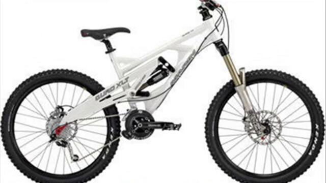 Mountain Biking and Search
