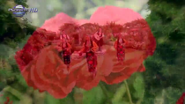 Николай Славеев - Залверо мари