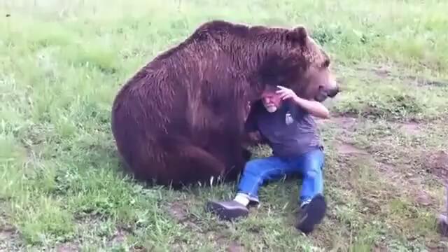 Срахотно видео човека и мечката голям и едър домашeн Любимец