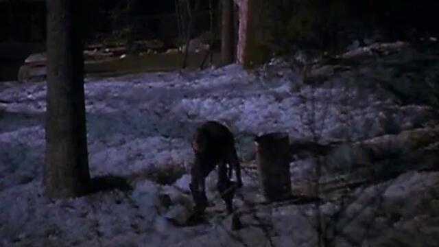 Сам Вкъщи (Home Alone)