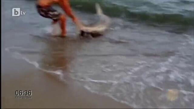 Рибар улови двуметрова акула