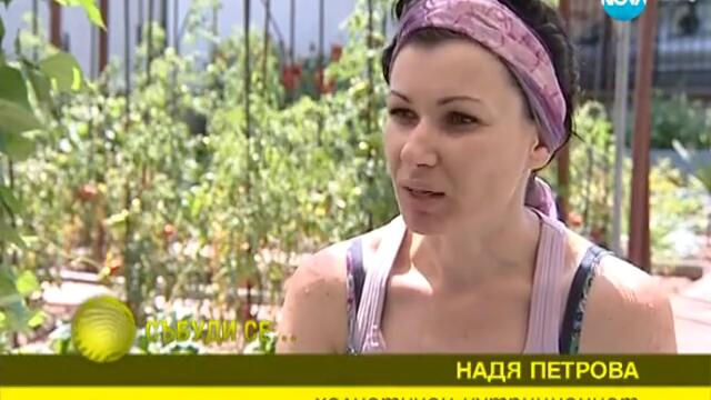 Как да се храним здравословно?