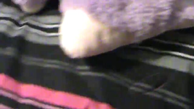 Hannah's Monster High Room Tour.