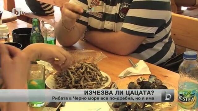 Изчезва цацата