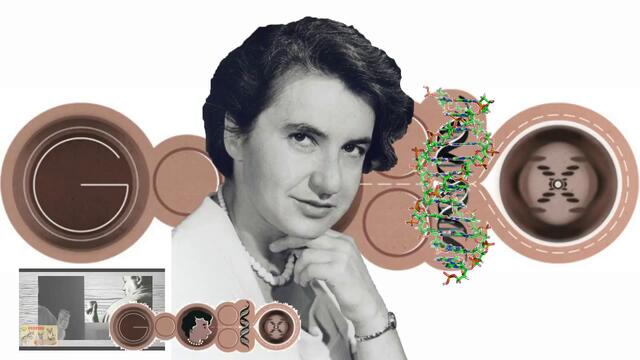 Британския биофизик Розалинд Франклин е темата в Google 25.07.2013