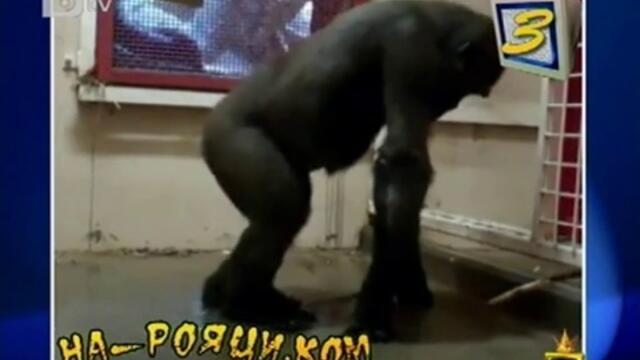 Хайде да потанцуваме!