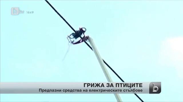 Специални пластини гонят птиците от ел. стълбове край Бургаските езера