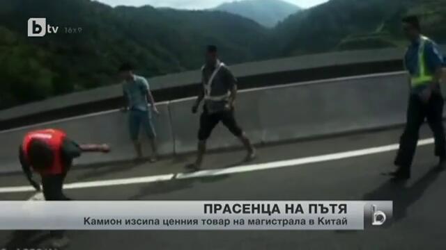 Весели случки със животни по света