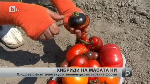 Необичайни хибридни плодове и зеленчуци на българския пазар