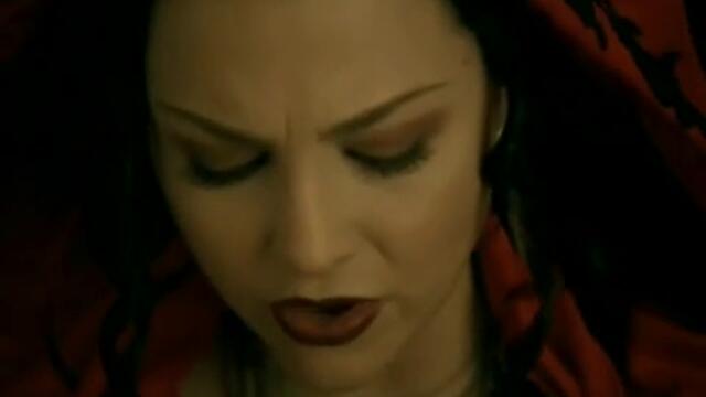 Evanescence - Call Me When You_re Sober (Video)