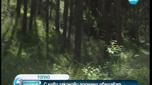 Бсп обеща двойно по-евтини дърва за огрев