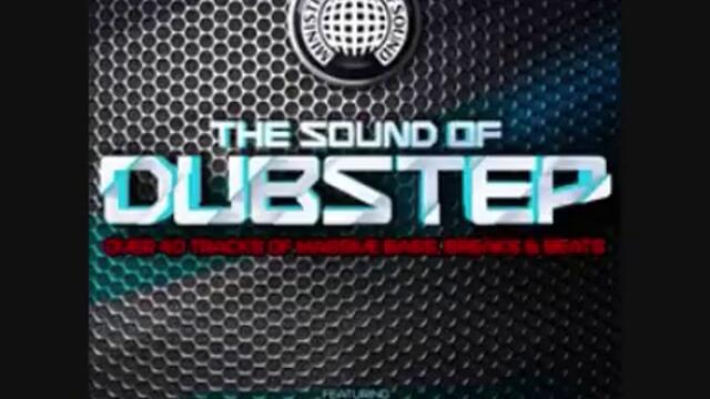 Won_t_Go_Quietly_Wire_Remix_-_Example_The_Sound_of_Dubstep