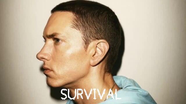 ° 2013 ° Eminem ft. Skylar Grey - Survival
