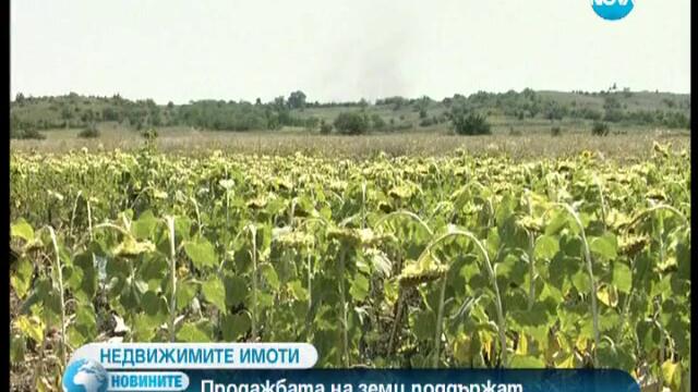 Ръст в продажбата на недвижими имоти от началото на годината