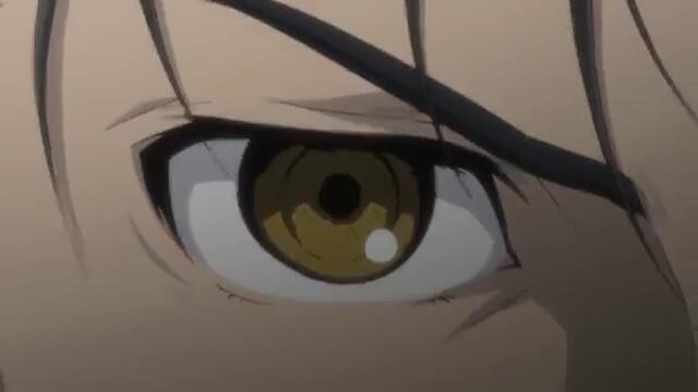 Expiration Date - AMV