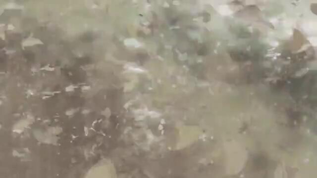 Hear the Sound - AMV