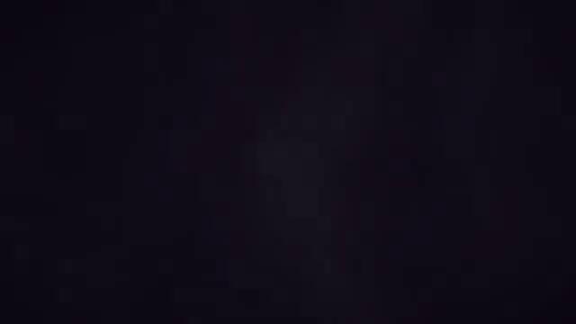 Together Until the End - AMV