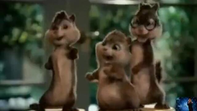 трите катерици пеят милионерче