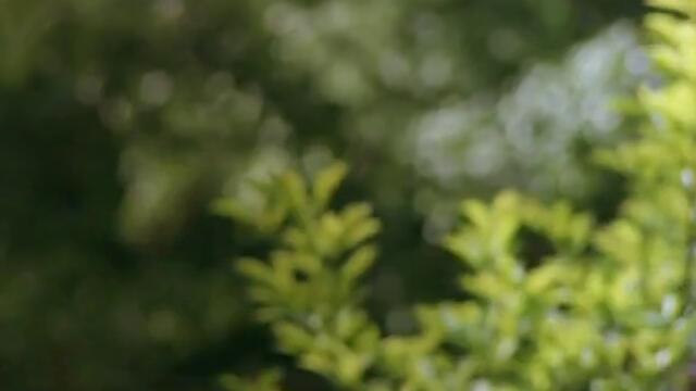 Пещерата на Златната Роза 3 ( 1 Част ) Част 2 Бг Аудио Cave of the Golden Rose 3 Bg Audio Part 1