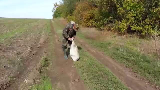 човек спасява куче