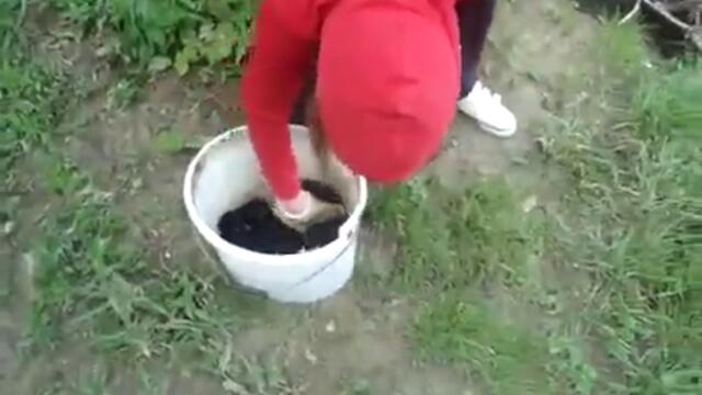 Момиче учи кучета да плуват