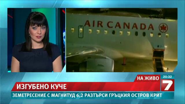 Цяло летище търси изгубено куче