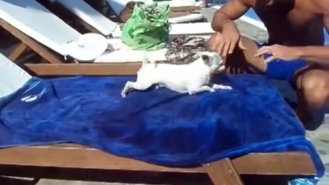 Вижте как кучето на Метин Енимехмедов танцува брейк