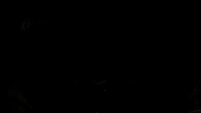 Къщата на восъка (2005) + Субтитри (част 1/5)