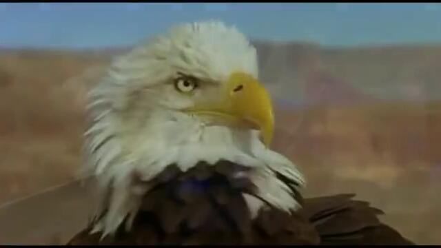 The Eagles - Hotel California